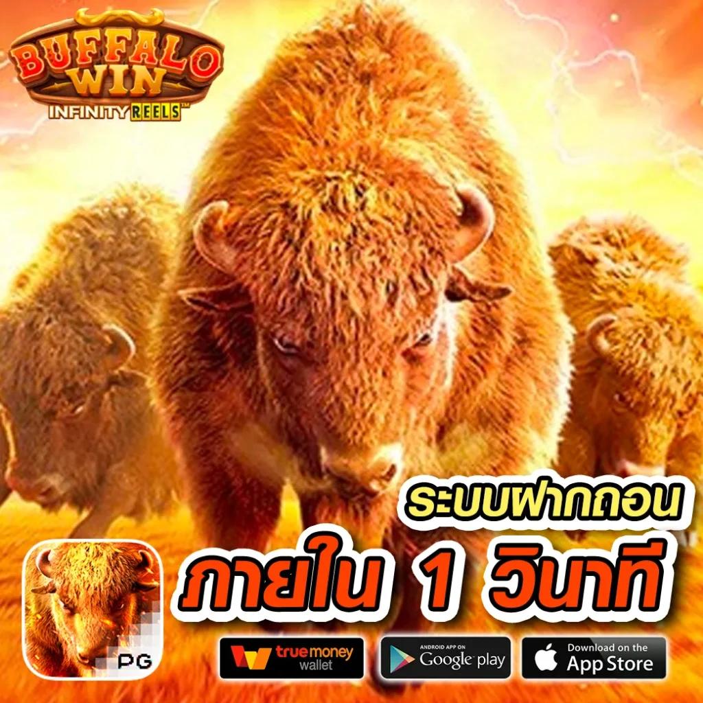 betflik 9999 เว็บตรงสล็อต คาสิโนครบวงจร สมัครง่าย ระบบออโต้รวดเร็ว