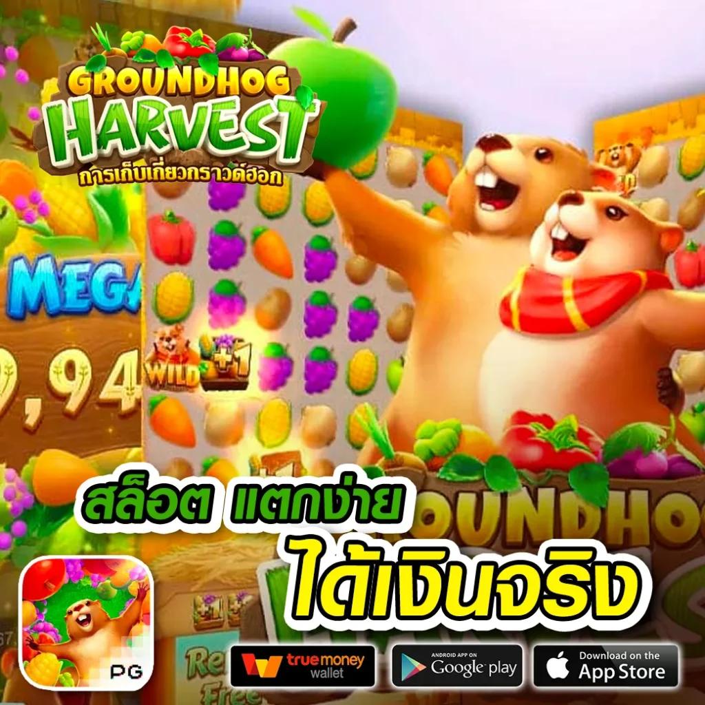 เดิมพันดีที่สุดกับ เด็ดบอลวันนี้ คาสิโนครบวงจร โปรโมชั่นสุดพิเศษ