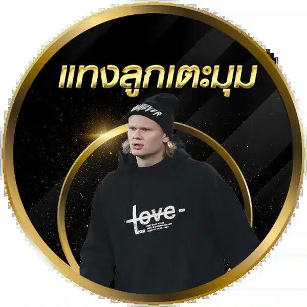 เว็บทดลองบาคาร่า ฝาก-ถอน ระบบออโต้ มาตรฐานสากล 2024